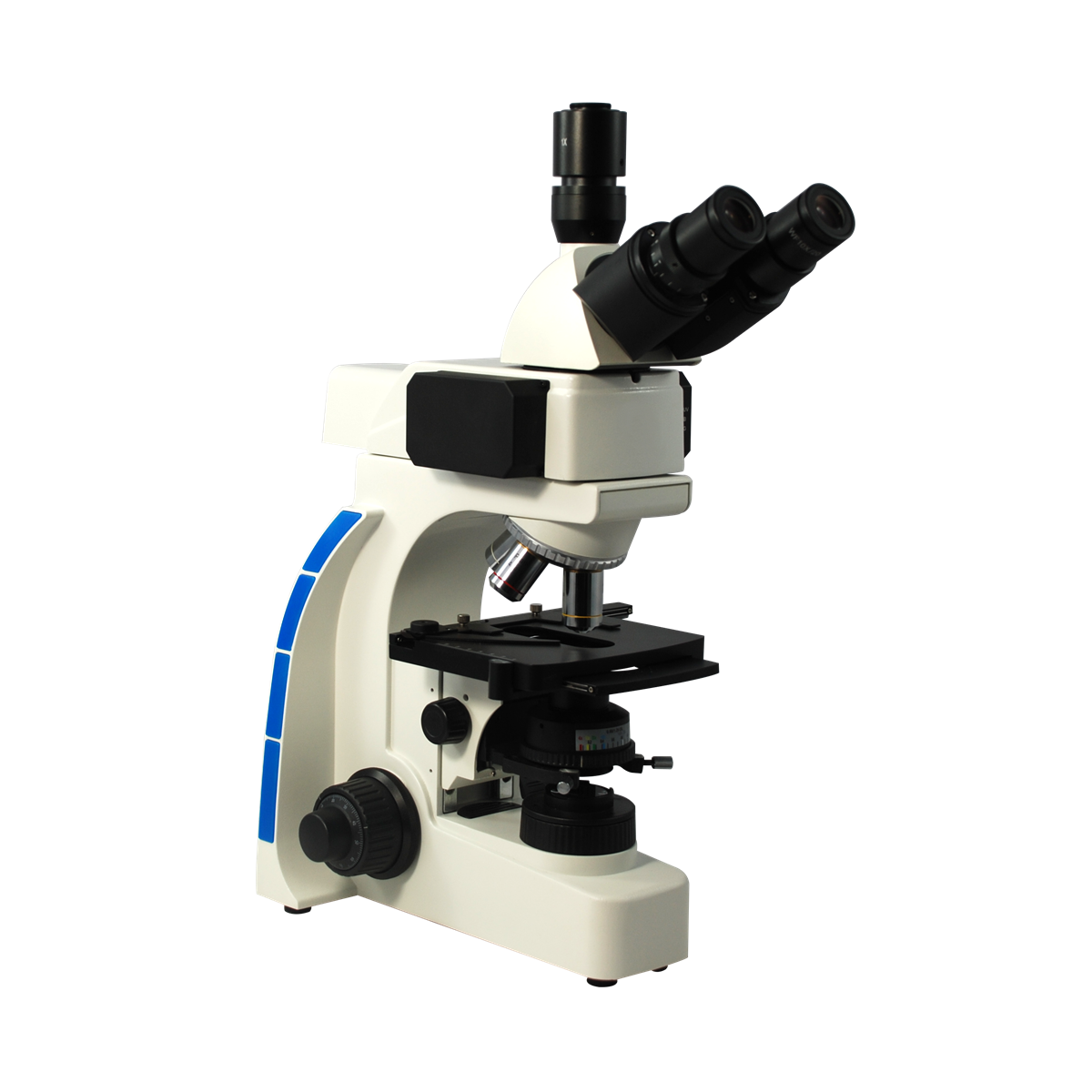 Fluorescence Microscope